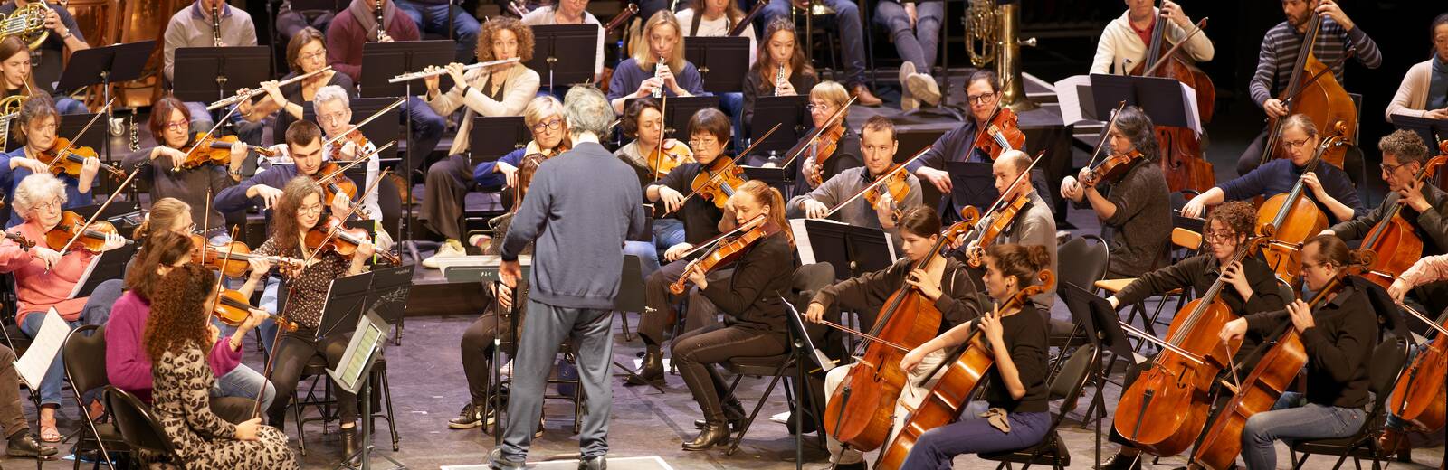 Mozart, entre ombres et lumières