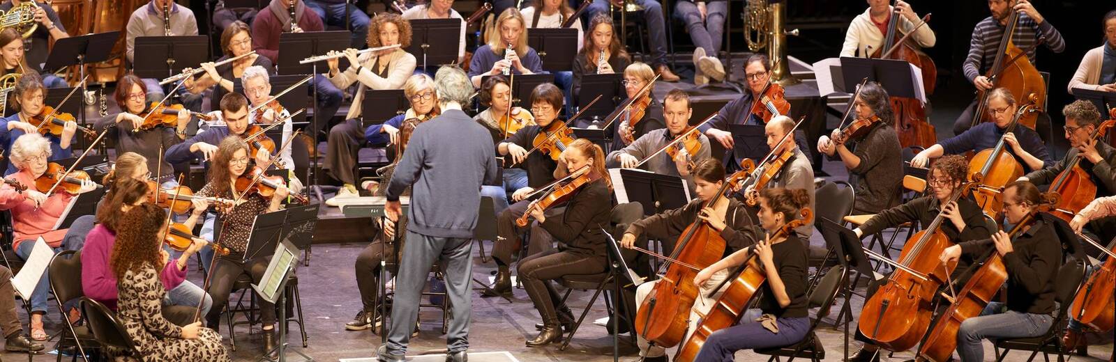 Mozart, entre ombres et lumières